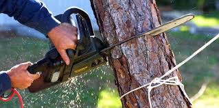 Best Utility Line Clearance  in North Potomac, MD