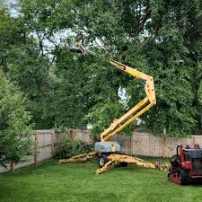 Best Emergency Tree Removal  in North Potomac, MD