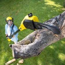 Best Lawn Drainage Solutions  in North Potomac, MD