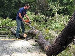 Best Utility Line Clearance  in North Potomac, MD