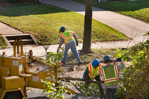 Best Landscape Design and Installation  in North Potomac, MD